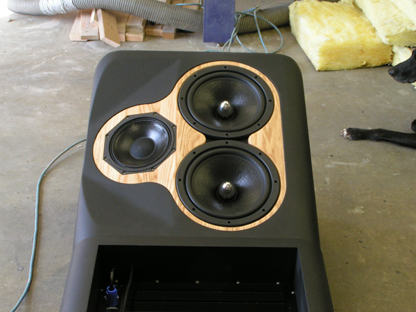 Homemade best sale studio monitors